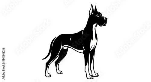 Elegant black and white dog illustration isolated on white background