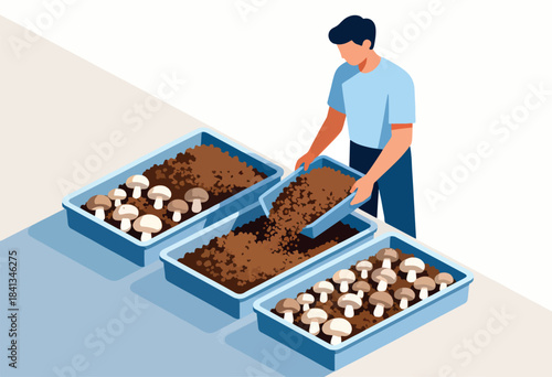 Person tending to trays of mushrooms and soil in an isometric flat illustration