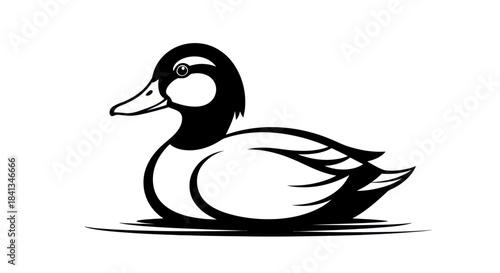 Elegant black and white duck illustration floating on water surface