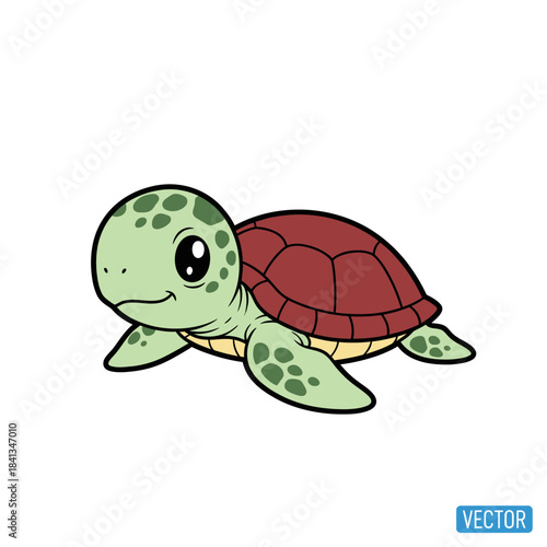 set 4 shelled animal popular kawaii illustration sea turtle
