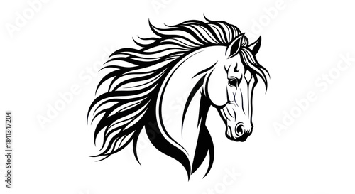 Elegant black and white horse head illustration on white background