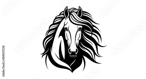 Elegant black and white horse head portrait against white background