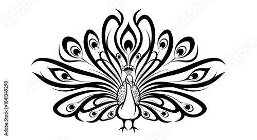 Elegant peacock silhouette with spread feathers against white backdrop