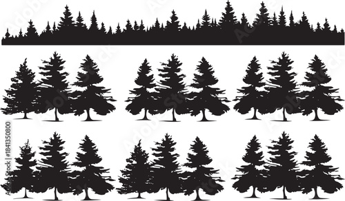 Set of trees in silhouettes