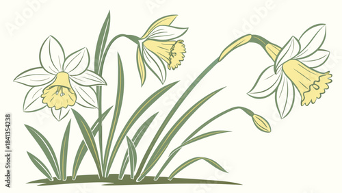 Vector illustration of blooming daffodil flowers with green leaves in a natural setting, close-up view showcasing floral detail and botanical beauty