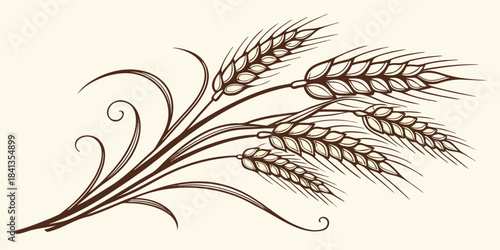 Elegant vector illustration of wheat ears with graceful curves, natural botanical design, isolated on white background, detailed graphic art, decorative concept