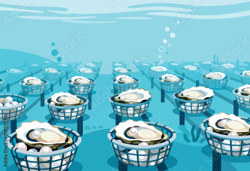 Rows of oyster baskets, some with pearls, submerged in blue water