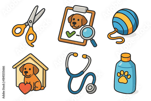 Pet care essentials: grooming, health, toys, and love for dogs