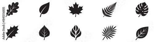 Leafs icons. Leaves icon set. Leaves of trees and plants. Leaves icon. Collection black leaf. Elements design for natural, eco, bio, vegan labels. Vector illustration.