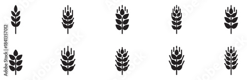 Wheat icon. Wheat ears icon set. Wheat logo. Grain spikes set icons.Grain icon. Agriculture symbol. Vector Illustration. EPS 10