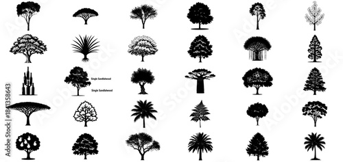 visual ecosystems a curated collection of timeless tree silhouettes for impactful graphics, isolated on transparent background