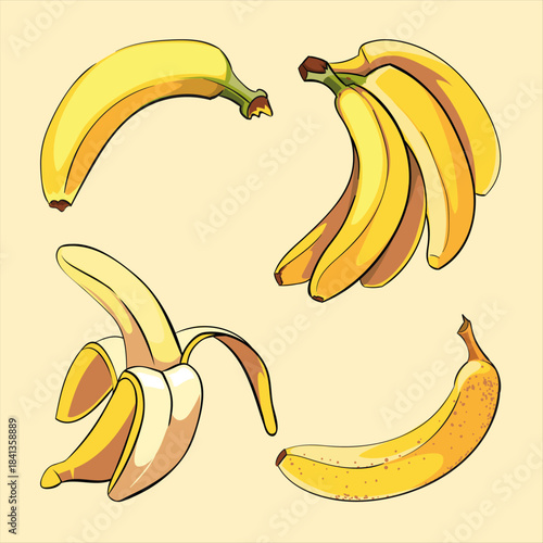 Collection of stylized yellow bananas showing different stages from whole to partially peeled fruit illustrations