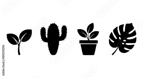vector illustration of a plant