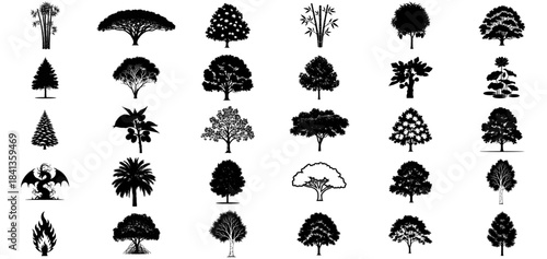organic architecture versatile tree silhouettes for crafting timeless visuals set, isolated on transparent background