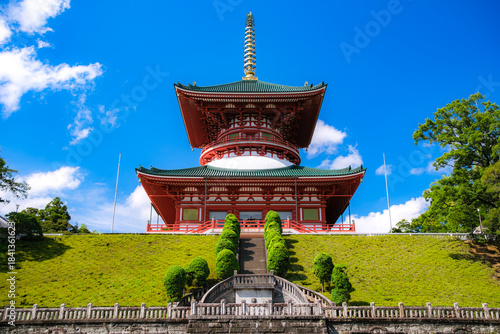 千葉県成田市 成田山新勝寺 平和大塔