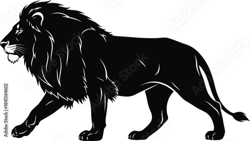 Lion Animal Vector Illustration
