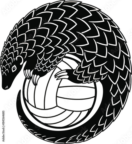 Pangolin Animal Illustration Vector