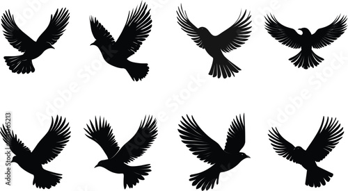  Bird flying with wings spread freedom symbol set Silhouette Vector	