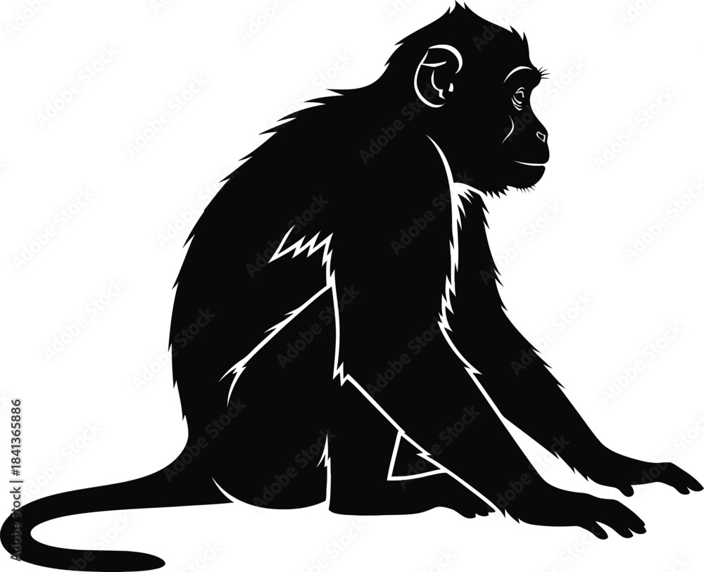 Fototapeta premium Monkey Sitting Wildlife Silhouette Vector