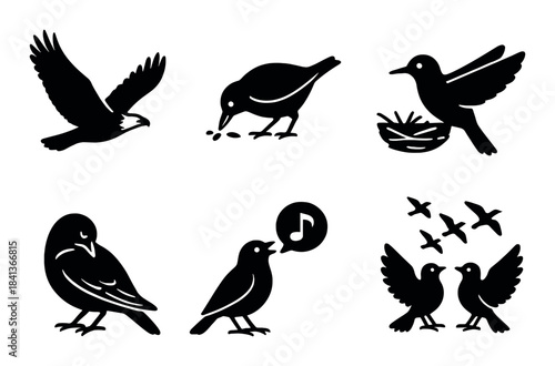 Silhouette collection of birds: various poses and activities