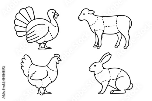 Primal meat cuts diagram featuring turkey, lamb, chicken, and rabbit animals