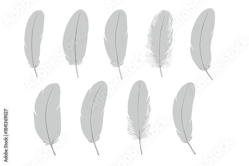 Collection of ten realistic white bird feathers isolated on a clean background