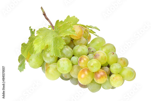 Bunch of grapes isolated on white