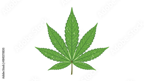A vibrant green cannabis leaf symbolizing nature and health