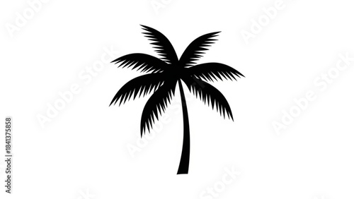 Palm tree silhouette on white background with tropical beach vibes