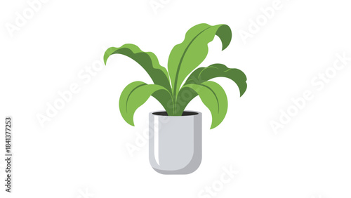 A vibrant green potted plant with large leaves in a light gray pot on a