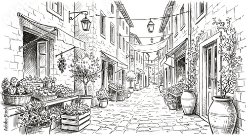 Hand drawn sketch of old European street with cobblestones and potted plants, vintage black and white vector illustration.