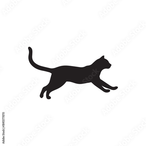 cat silhouette vector
