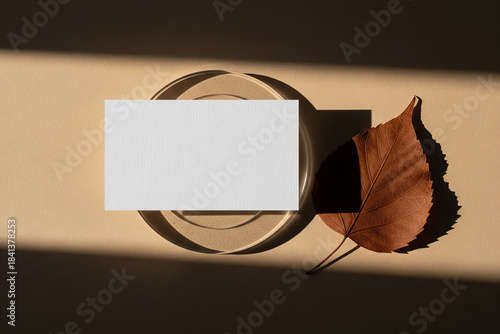 Elegant White Business Card on Glass Coaster with Brown Leaf and Beige Background in Soft Sunlight