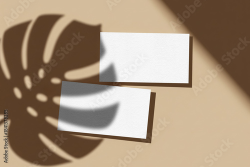 Minimalist Still Life Featuring Two White Cards with Monstera Leaf Shadow on Beige Background in Bright Sunlight
