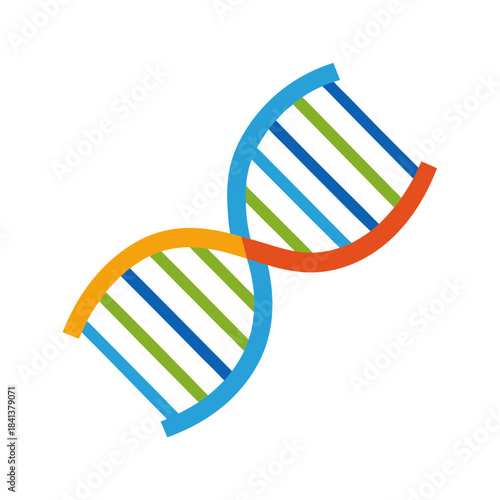 Vector Clip Art DNA Helix on White Background for Web and Graphic Design
