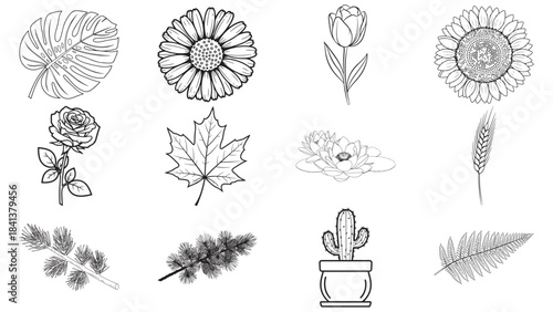 Botanical & Floral Elements Vector Pack for Wellness Product Branding, Herbal Market Forecasting and Consumer Goods Financial Presentations