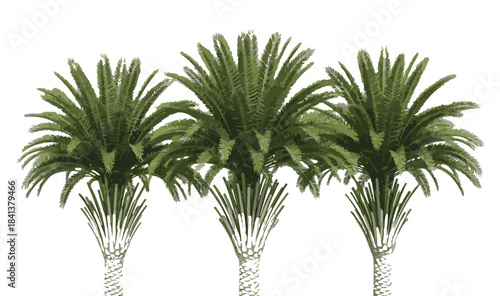 Three stylized tropical palm trees, a vibrant botanical illustration representing exotic flora and serene resort landscapes