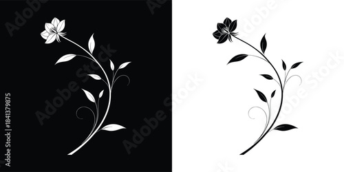 A delicate white flower on a black background with a contrasting black flower on a white background, representing duality and natures beauty