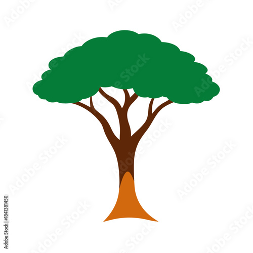 vector clip art savanna tree on white background for web and graphic design