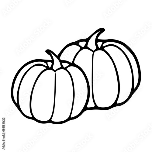 vector icon of Halloween or thanksgiving pumpkins