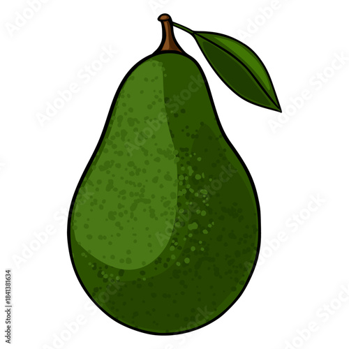 A stylized vector illustration of a single ripe avocado with a stem and leaf against a white background, featuring textured green skin and subtle shading for depth.