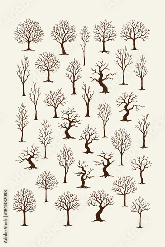 Leafless winter tree silhouette vector set in vintage line-art style, presenting multiple barren tree forms for seasonal graphics, landscape themes, pattern design, and educational visuals.