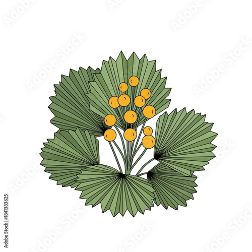 Stylized botanical illustration featuring palmate leaves and vibrant yellow berries, isolated