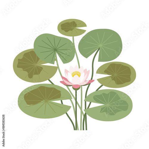 Floral simplicity water lily pads showcasing elegant aquatic plant design artwork