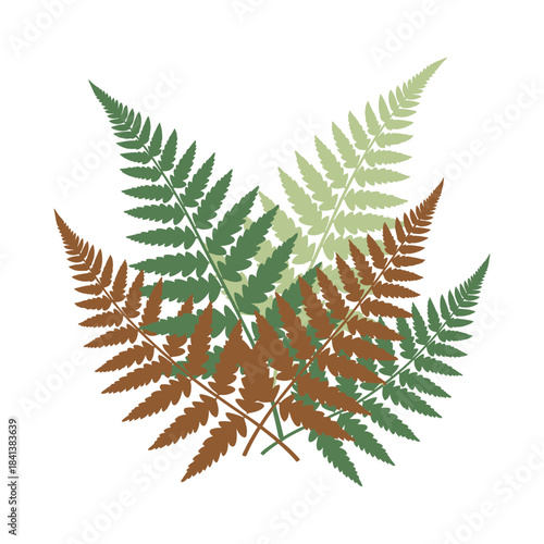 Layered fern fronds showcasing diverse hues conveying natural botanical complexity