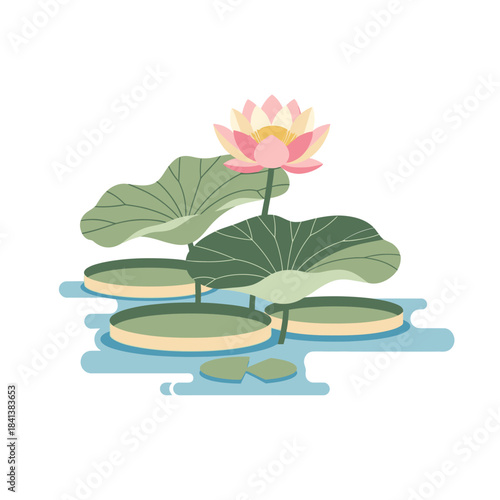 Elegant lotus blossom gracefully emerging amidst tranquil water and broad, serene foliage