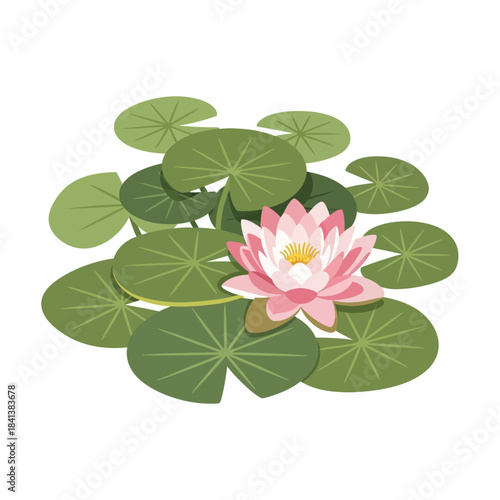 Elegant water lily blossom nestled among its floating leaves in a tranquil pond setting