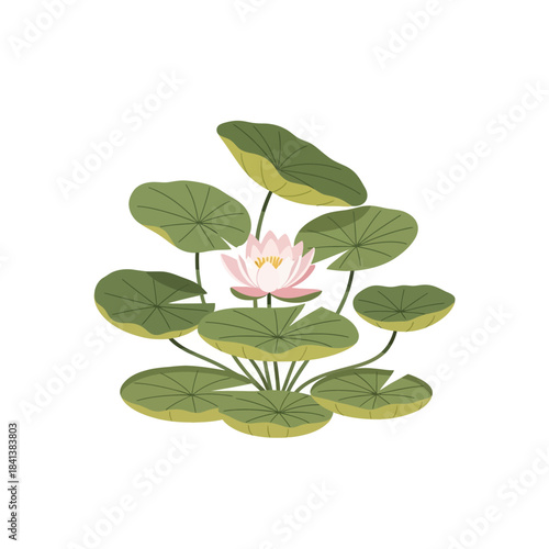 Delicate water lily surrounded by verdant lily pads creates serene visual harmony