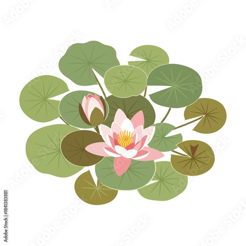 A serene water lily illustration evoking tranquility with a pastel color palette and simplified form