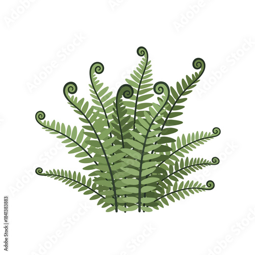 Stylized fern illustration highlighting simplicity and natural elegance on white canvas